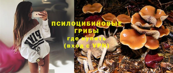 тгк Алексеевка