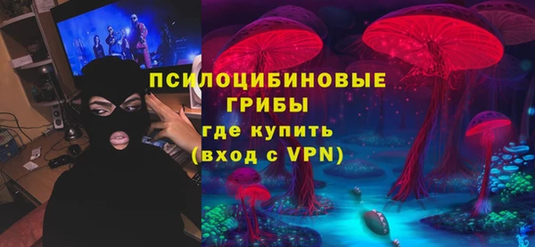 прущий лед Алексин
